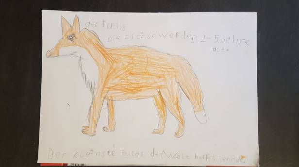 f74c2626-f198-48c5-86a3-f5782400feff