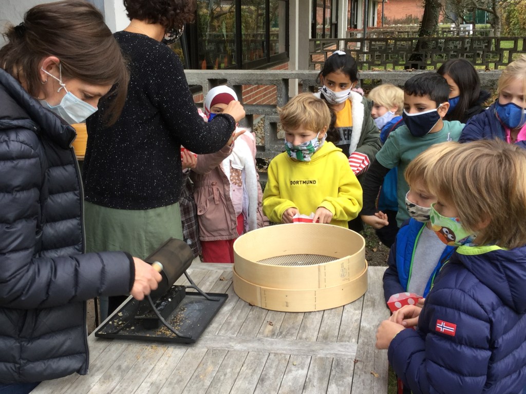 Wir haben 100 Kaffee- bohnen abgekühlt.